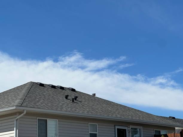 Emergency Roof Repair Services